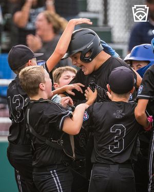 Image post by @littleleague on Instagram