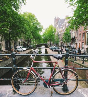 Image post by @kirstenalana on Instagram