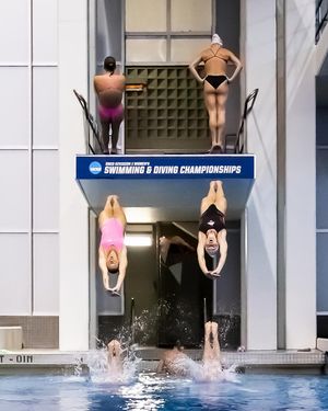 Image post by @arizonaswimdive on Instagram