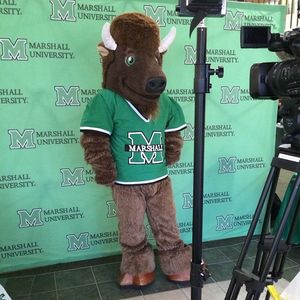 Image post by @marshallu on Instagram