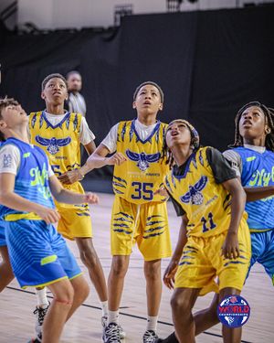 Image post by @aaubasketball on Instagram