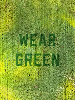 Image post by @goducks on Instagram