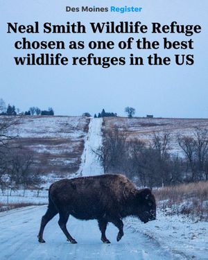 Image post by @dmregister on Instagram