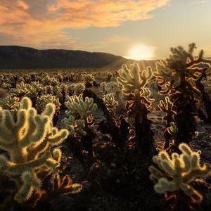 Image post by @chandlerwebercreative on Instagram