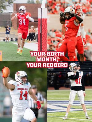 Image post by @isuredbirdfb on Instagram