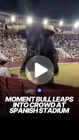 Image post by @dailymail on Instagram