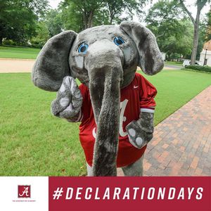 Image post by @ua_admissions on Instagram
