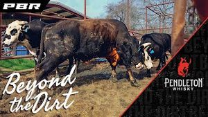 Video post by @pbr on YouTube