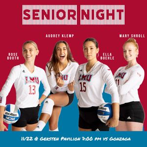 Image post by @lmulionswvb on Instagram