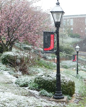 Image post by @williamjewellcollege on Instagram