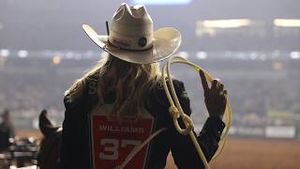 Video post by @pbr on YouTube