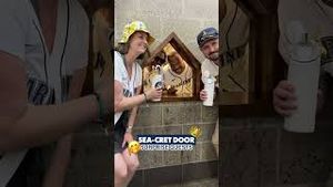 Video post by @mariners on YouTube