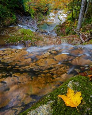 Image post by @cristan.nature.photography on Instagram