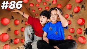 Video post by @theshluvfamily on YouTube