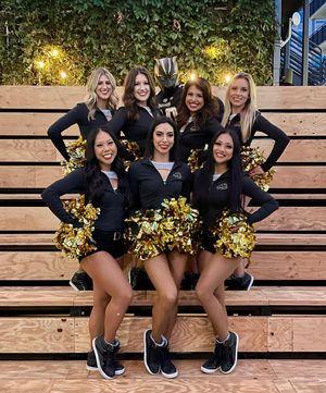 Image post by @panthersdanceteam on Instagram