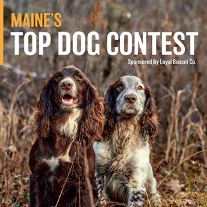 Image post by @themainemag on Instagram