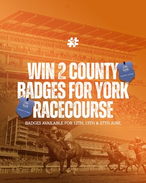Image post by @raceday.rtv on Instagram