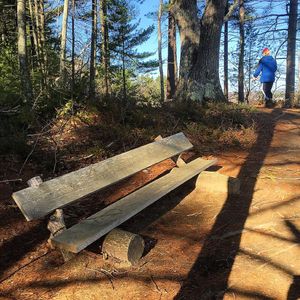 Image post by @themainemag on Instagram