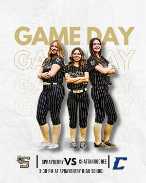 Image post by @sprayberryfastpitch on Instagram