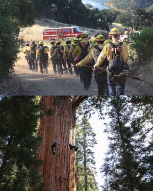 Image post by @calfire on Instagram