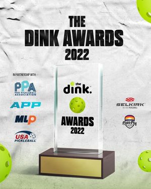 Image post by @thedinkpickleball on Instagram