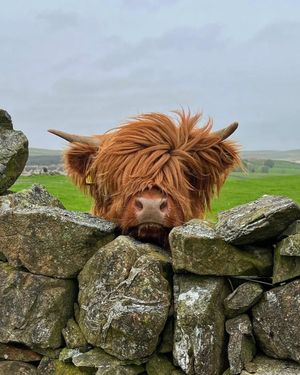 Image post by @visitscotland on Instagram
