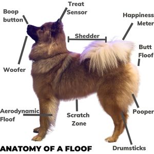 Image post by @tsukitheeurasier on Instagram