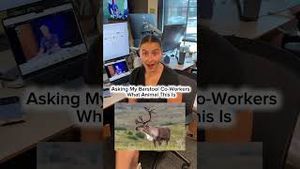 Video post by @barstooloutdoors on YouTube