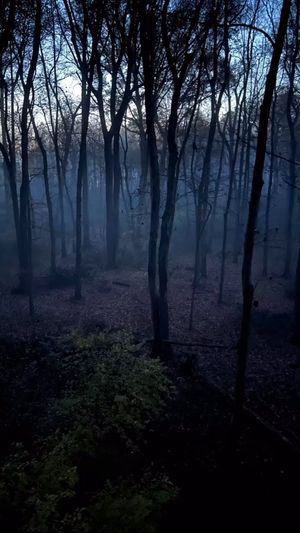 Video post by @thehuntingchallenge on Instagram