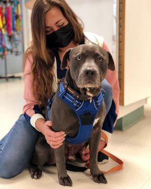 Image post by @suncoasthumane on Instagram