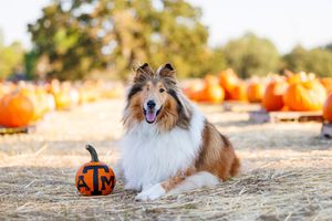 Image post by @missrevx on Instagram