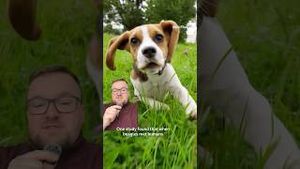 Video post by @bbcearth on YouTube