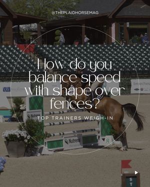 Image post by @theplaidhorsemag on Instagram