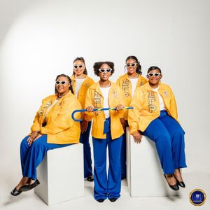 Image post by @msstate_sgrhos on Instagram