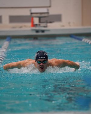 Image post by @pennstateswimdive on Instagram