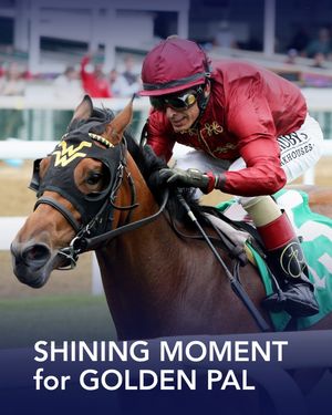 Image post by @coolmoreamerica on Instagram