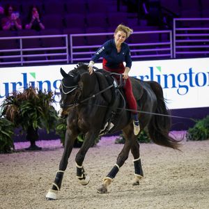 Image post by @usequestrian on Instagram