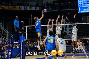 Video post by @uclamvb on TikTok