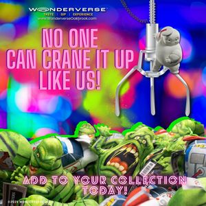 Image post by @wonderversechicago on Instagram