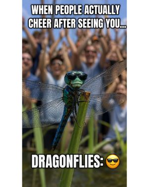 Image post by @bugbustersusa on Instagram