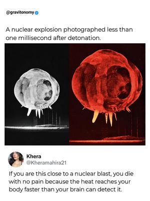 Image post by @gravitonomy on Instagram