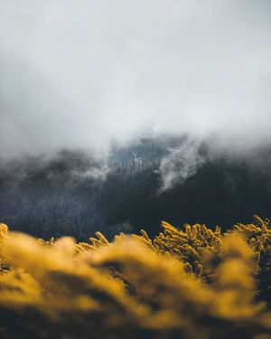 Image post by @kszczuka on Instagram