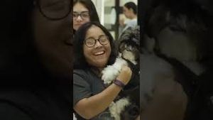 Video post by @cowmissing on YouTube