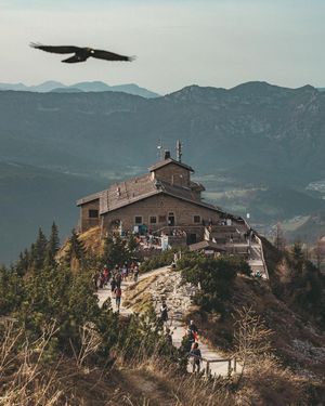 Image post by @noah_wallace on Instagram