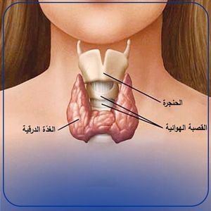 Image post by @dr.najim_alkhaldy on Instagram