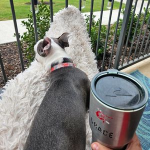 Image post by @gillotinegrace on Instagram