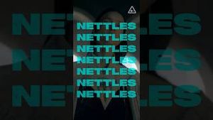 Video post by @nerdist on YouTube