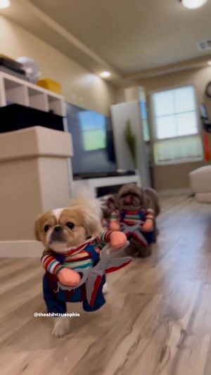 Video post by @alyshiafaith on Instagram