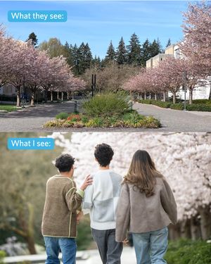 Image post by @universityofbc on Instagram