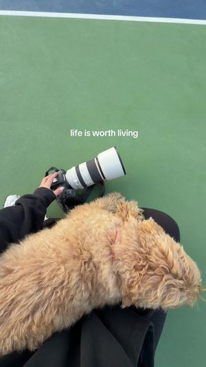 Video post by @delaneypardue on TikTok